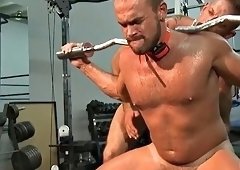Jesse Balboa tied weights to his balls in the gym